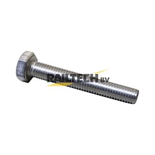 Bout, RVS 933 A4-70 M10x70